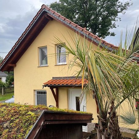 Ferienwohnung Mühlberg Seifersdorf  Exterior foto