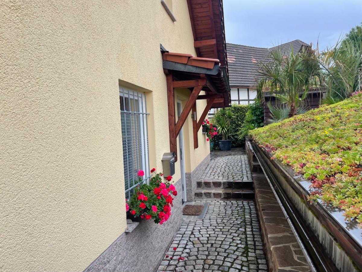 Ferienwohnung Mühlberg Seifersdorf  Exterior foto